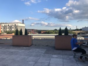 IMG_4446